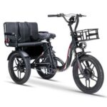 Jager Cargo Tricycle Manufacturing Electric Bike